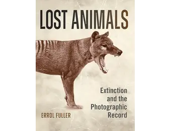 Lost Animals