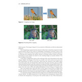 Birding with AI - Concepts and Projects for Ornithology