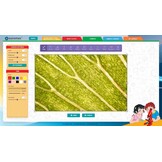 Euromex Explorer digitale USB 2.0 Okularkamera