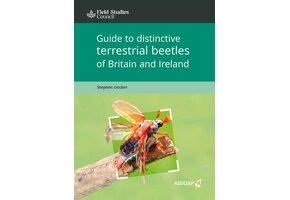 Guide to Distinctive Terrestrial Beetles of Britain and Ireland