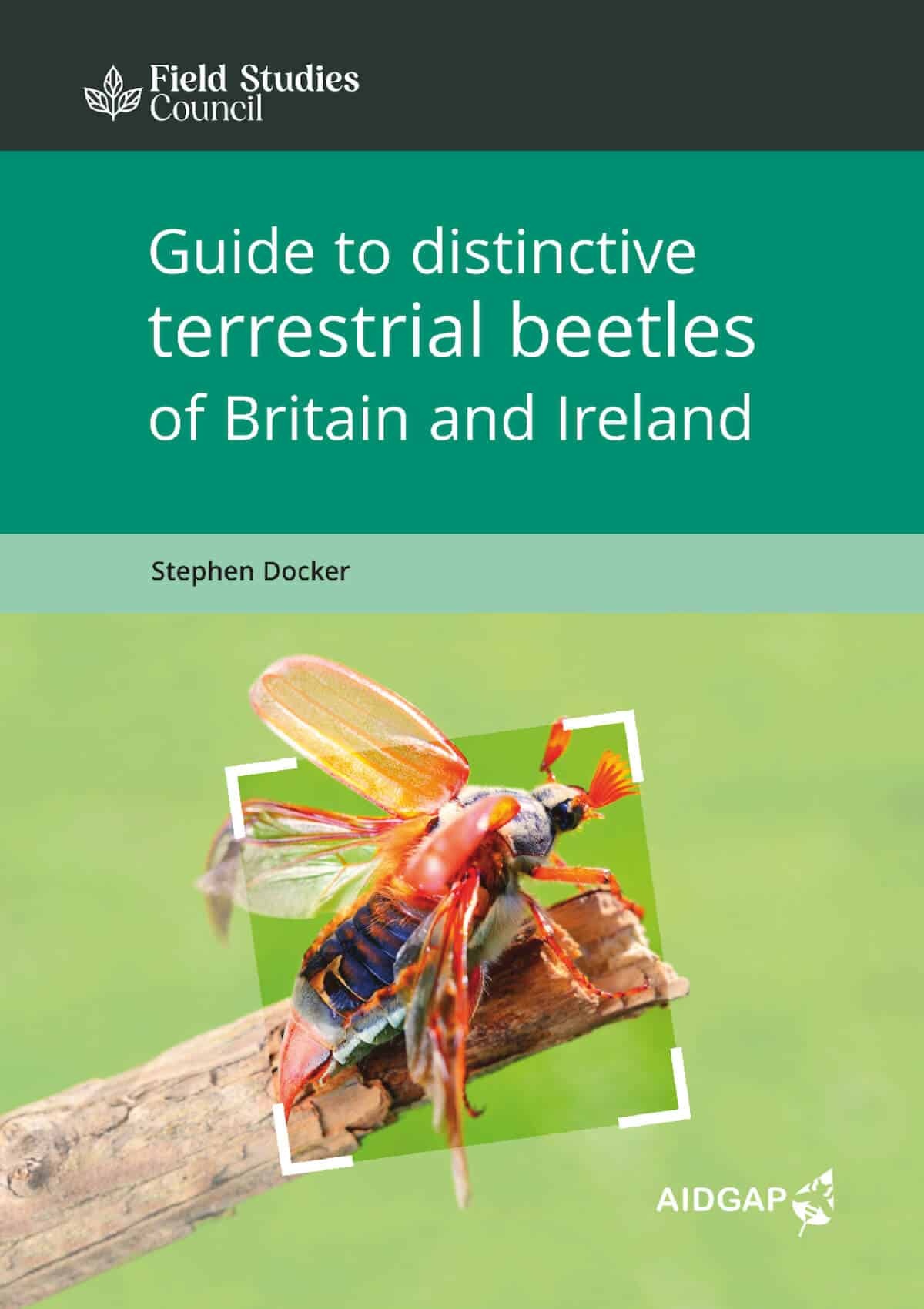 Guide to Distinctive Terrestrial Beetles of Britain and Ireland