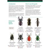 Guide to Distinctive Terrestrial Beetles of Britain and Ireland