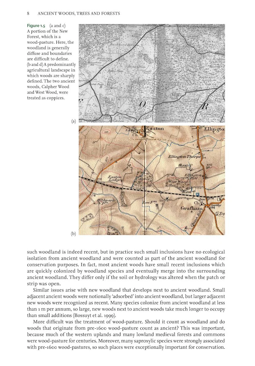 Ancient Woods, Trees and Forests