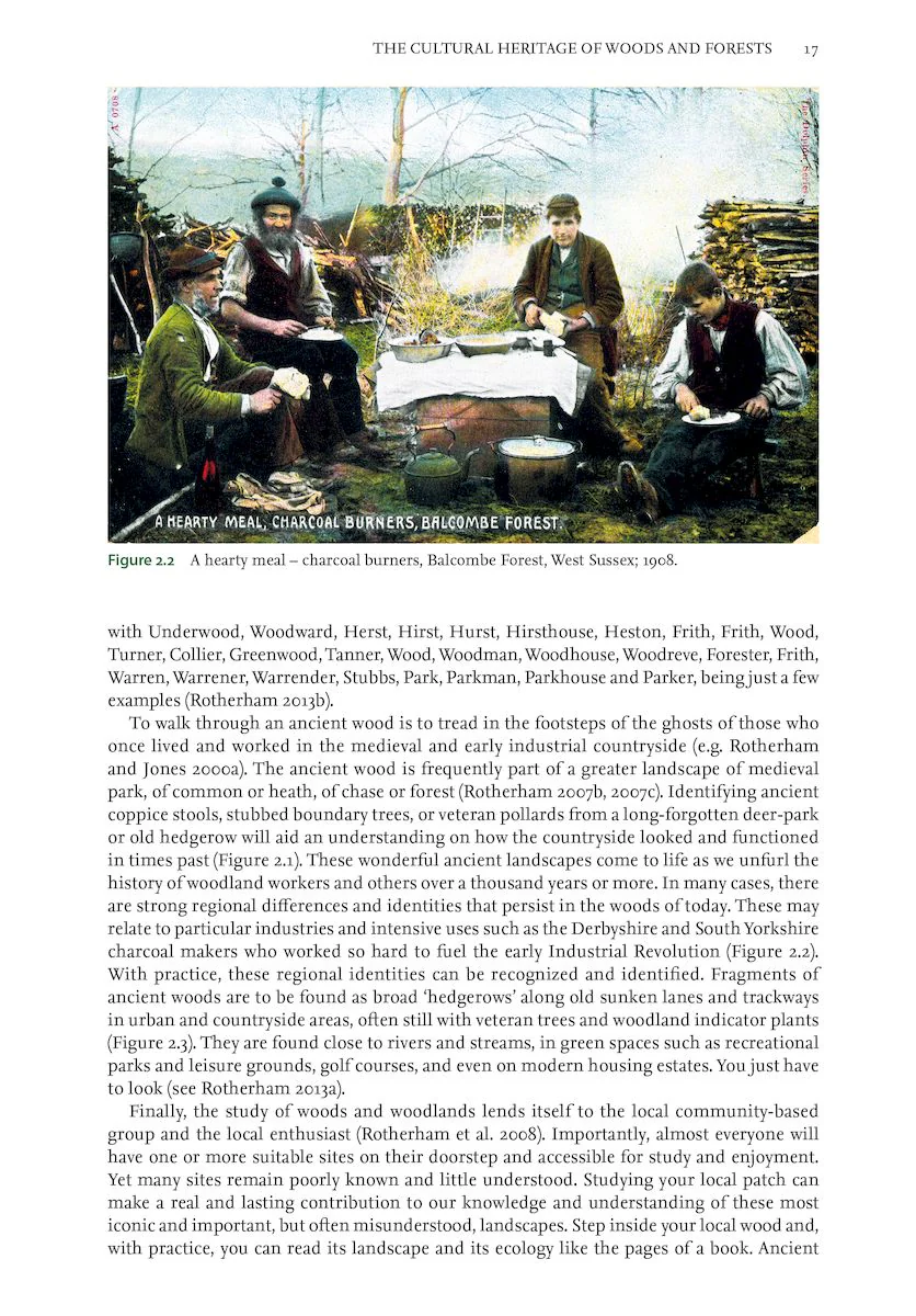 Ancient Woods, Trees and Forests