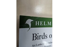 Beschadigd exemplaar - Birds of Sri Lanka