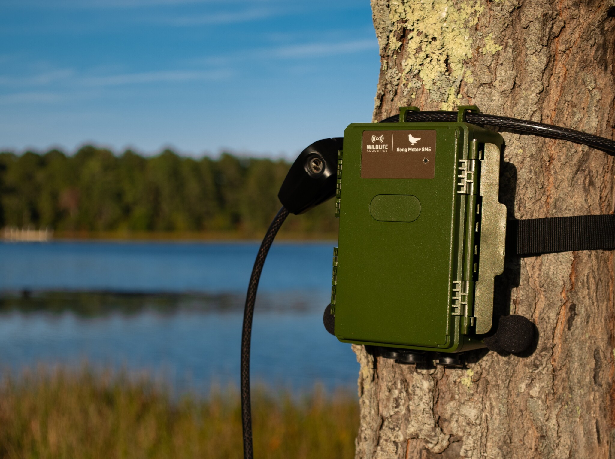 Song Meter SM5 Acoustic Recorder