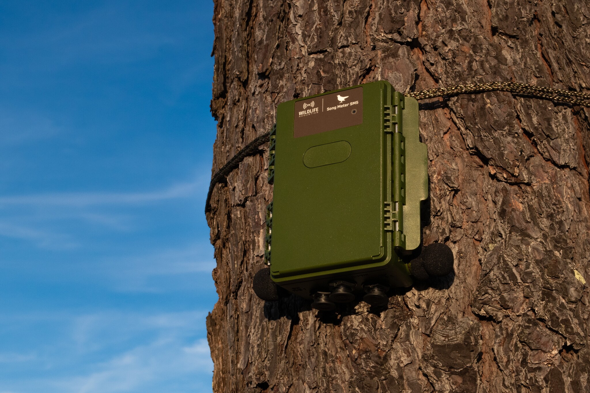 Song Meter SM5 Acoustic Recorder