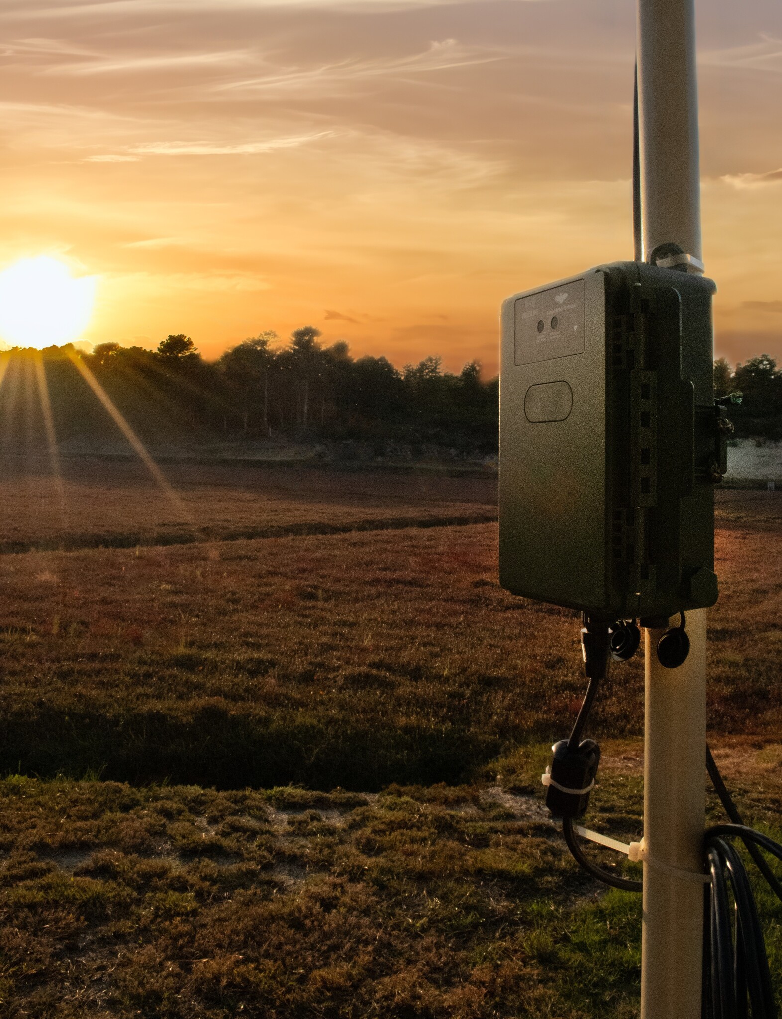 Song Meter SM5BAT Ultrasonic and Acoustic Recorder