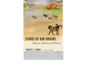 Echoes of Our Origins