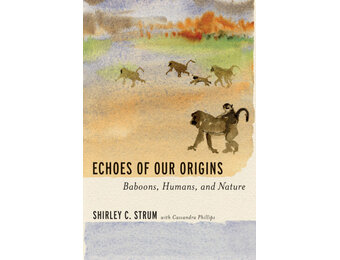 Echoes of Our Origins