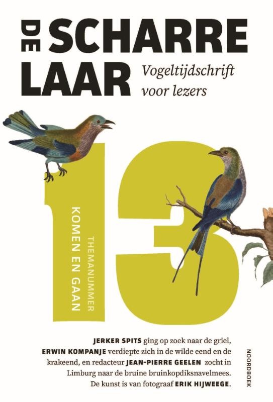 De Scharrelaar 13 / 2025 - Vogeltijdschrift voor lezers