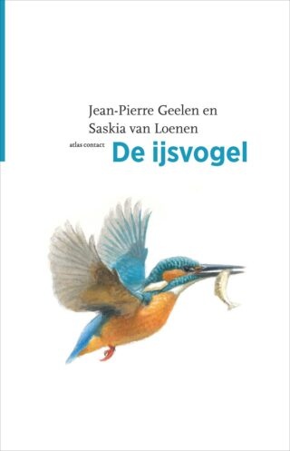De ijsvogel