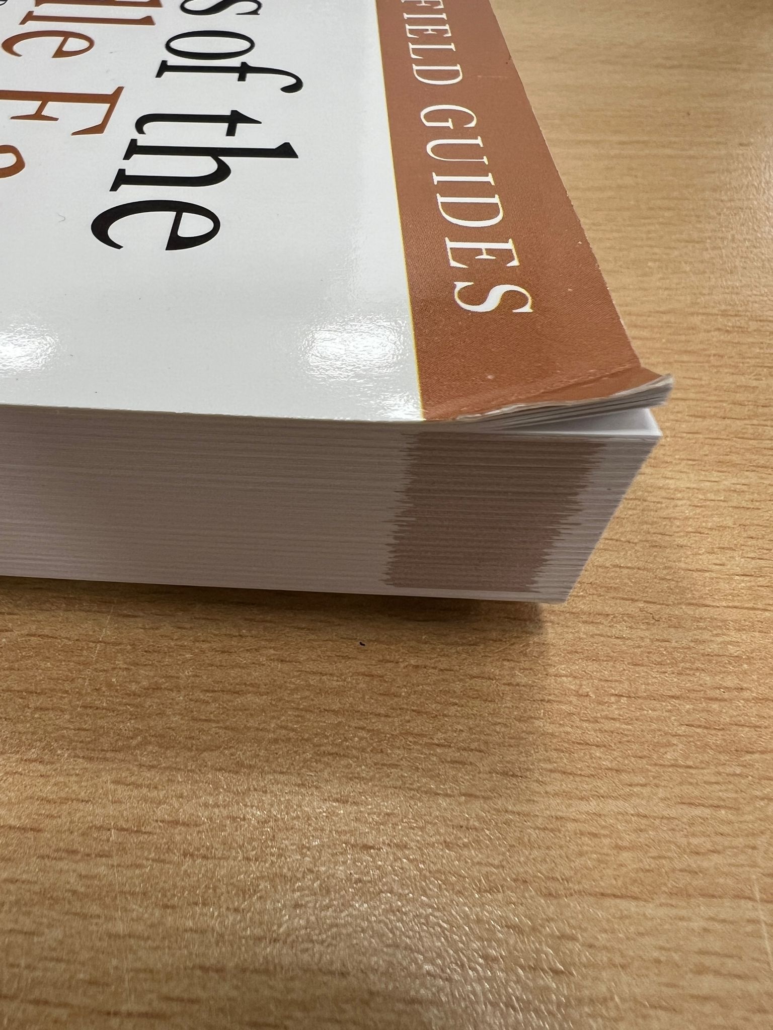 Beschädigte Kopie - Birds of the Middle East