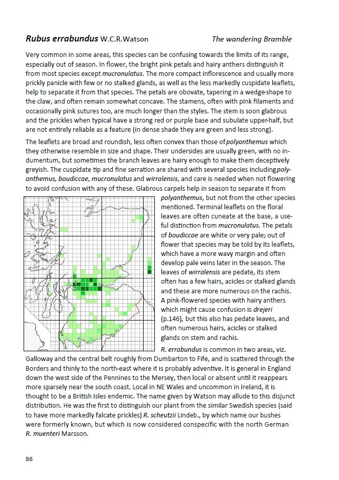Brambles of Scotland - BSBI Handbook no. 25