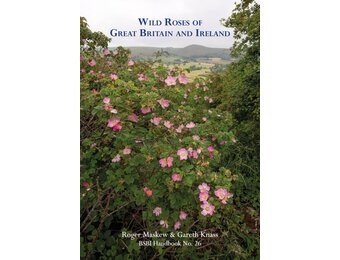 Wild Roses of Great Britain and Ireland