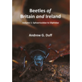 Beetles of Britain and Ireland - Volume 1: Sphaeriusidae to Silphidae