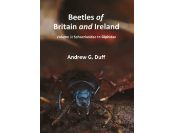 Beetles of Britain and Ireland - Volume 1: Sphaeriusidae to Silphidae