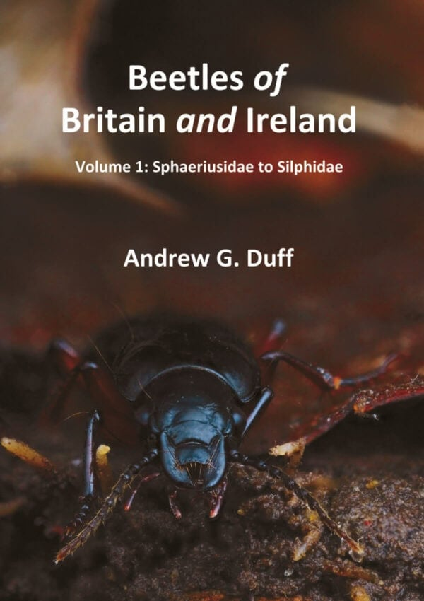 Beetles of Britain and Ireland - Volume 1: Sphaeriusidae to Silphidae