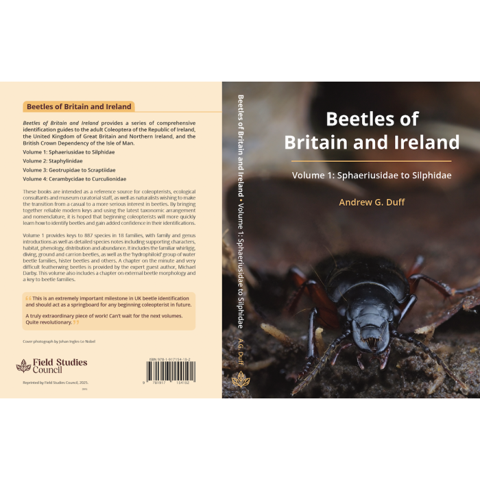 Beetles of Britain and Ireland - Volume 1: Sphaeriusidae to Silphidae