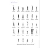 Beetles of Britain and Ireland - Volume 1: Sphaeriusidae to Silphidae