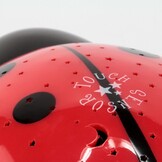 Ansmann Starlight Ladybird