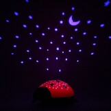 Ansmann Starlight Ladybird