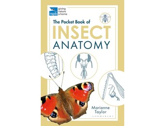 The Pocket Book of Insect Anatomy