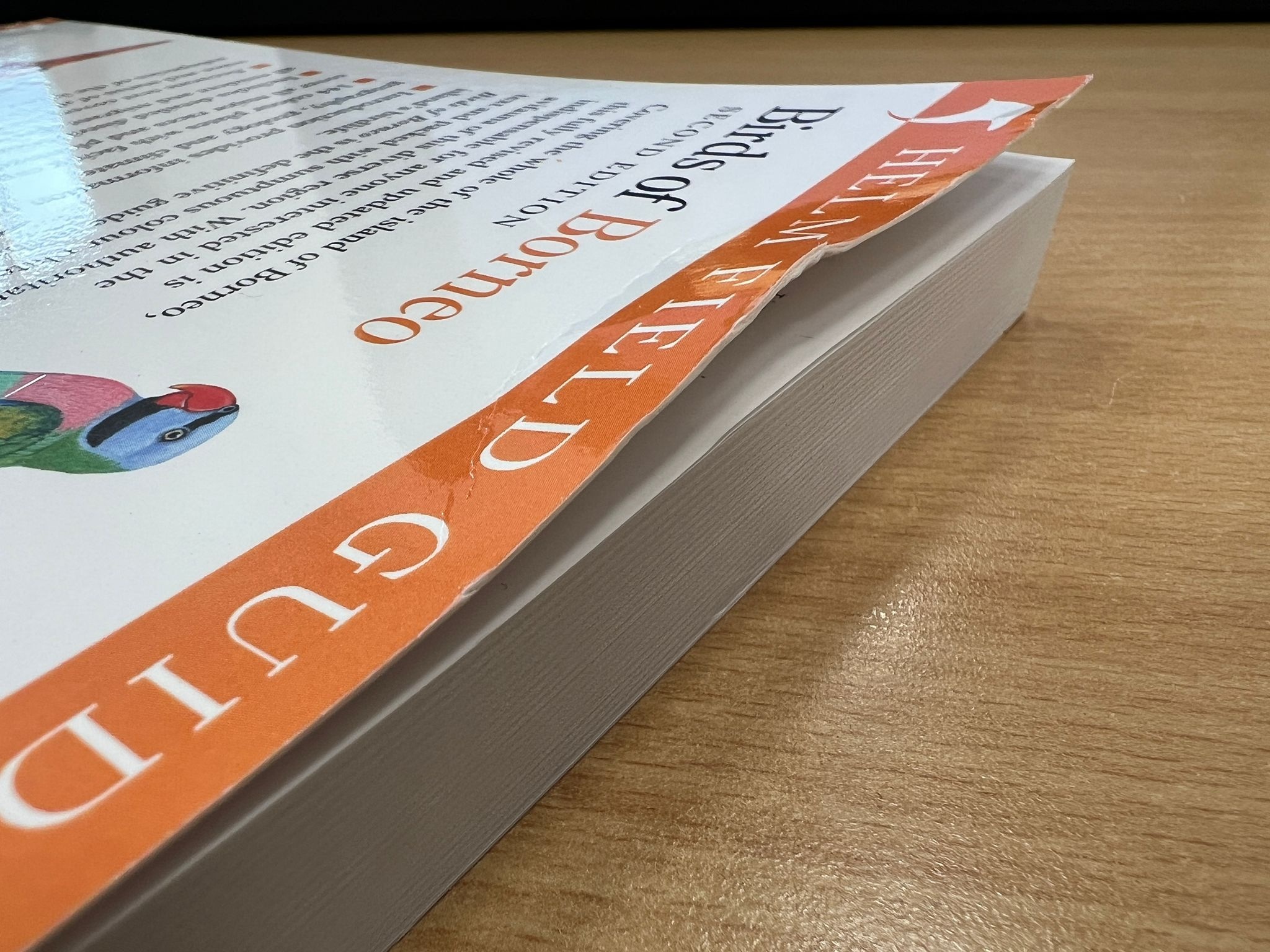 Damaged copy - Birds of Borneo