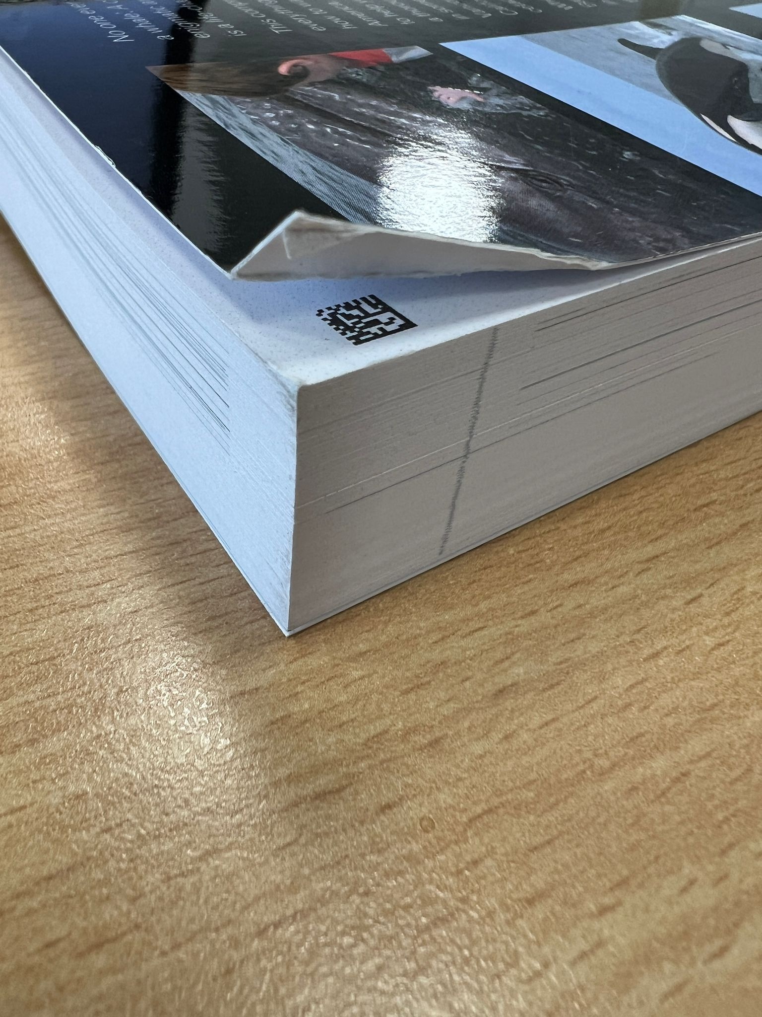 Beschädigte Kopie - Mark Carwardine's Guide to Whale Watching in North America- USA - Canada - Mexico