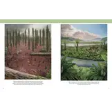 The Princeton Field Guide to Mesozoic Plants