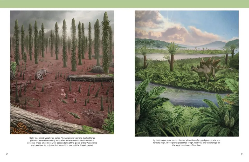 The Princeton Field Guide to Mesozoic Plants