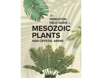The Princeton Field Guide to Mesozoic Plants