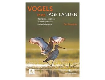 Vogels in de lage landen
