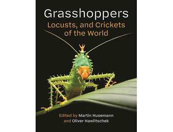 Grasshoppers, Locusts, and Crickets of the World