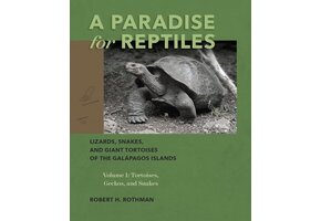 A Paradise for Reptiles