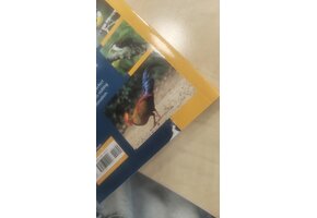 Damaged copy - Birds of Sri Lanka