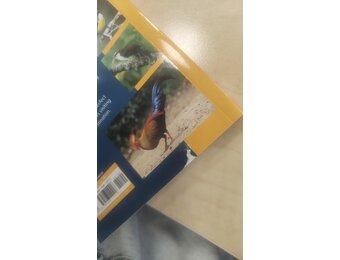 Beschädigte Kopie - Birds of Sri Lanka