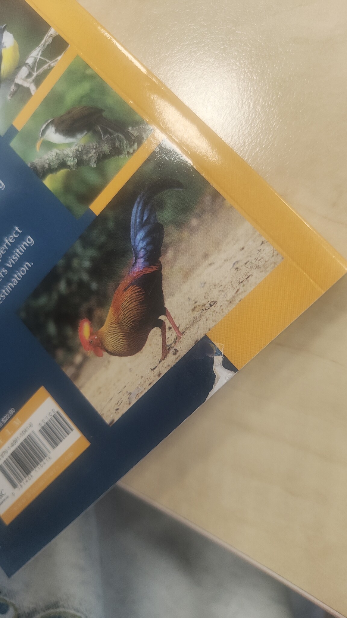 Beschädigte Kopie - Birds of Sri Lanka