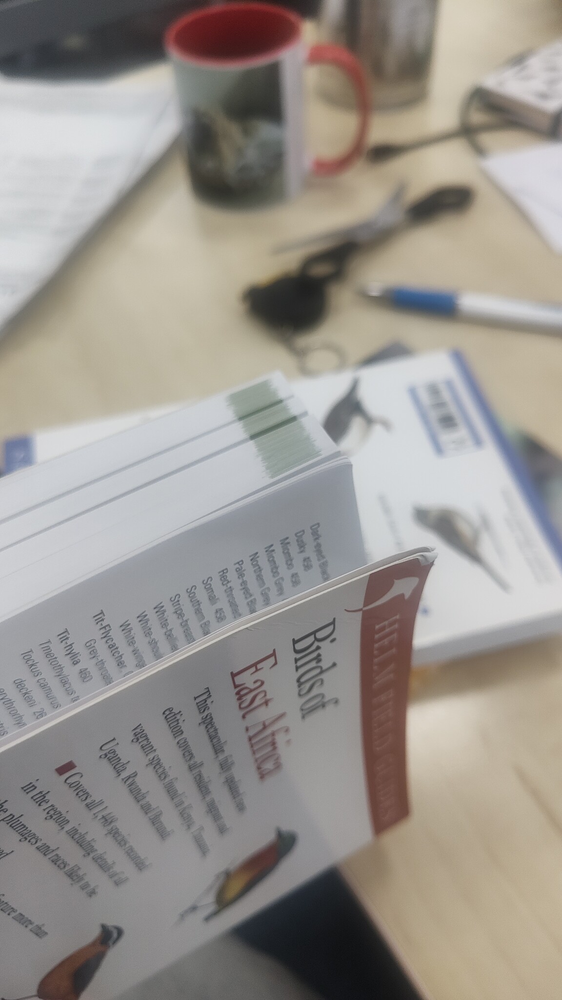 Beschädigte Kopie - Birds of East Africa - Kenya, Tanzania, Rwanda, Uganda, Burundi