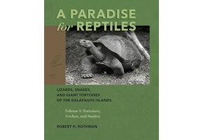 A Paradise for Reptiles