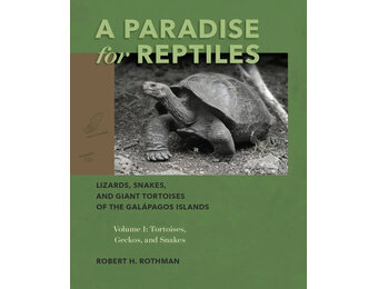 A Paradise for Reptiles
