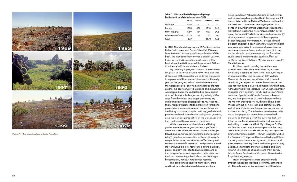 A Paradise for Reptiles - Volume 1: Tortoises, Geckos, and Snakes