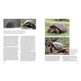 A Paradise for Reptiles - Volume 1: Tortoises, Geckos, and Snakes