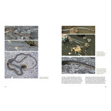 A Paradise for Reptiles - Volume 1: Tortoises, Geckos, and Snakes