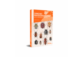 Chinches pentatomomorfas de la península ibérica