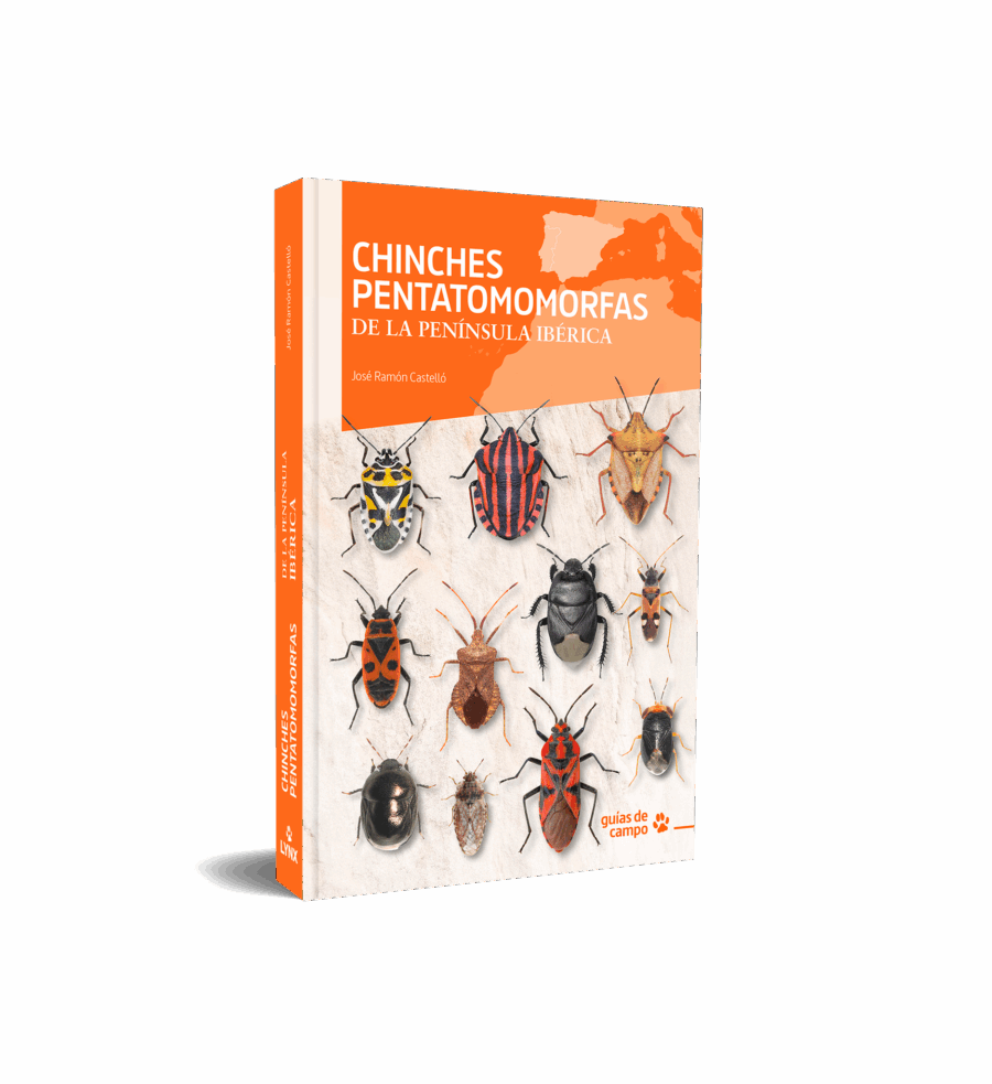 Chinches pentatomomorfas de la península ibérica