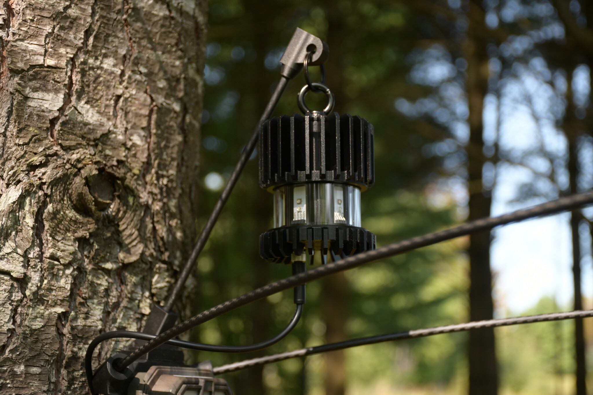 EntoCam autonome Kamerafalle für Insekten & EntoBeam