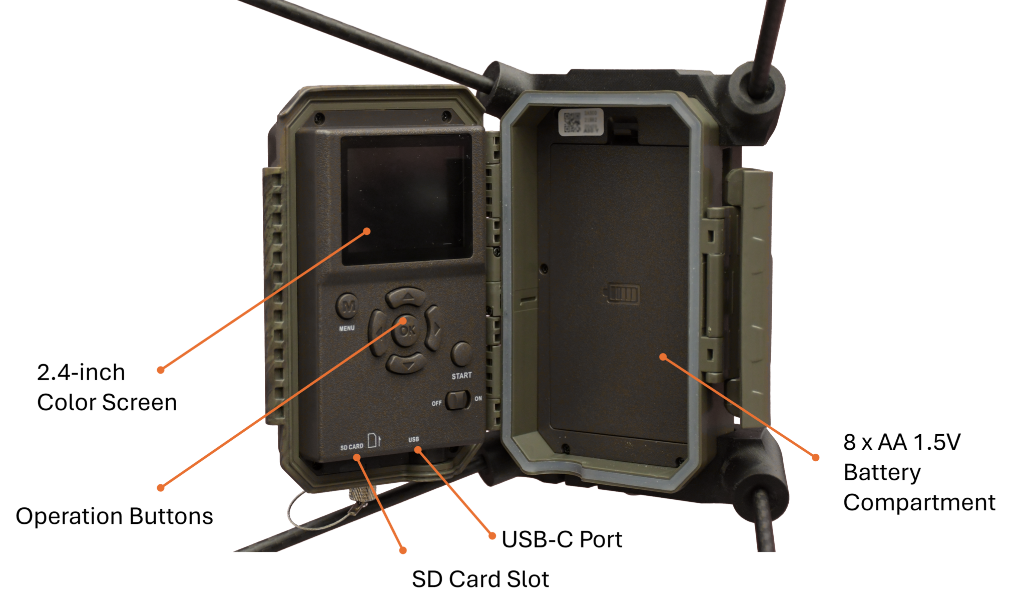 EntoCam autonome Cameraval voor Insecten & EntoBeam