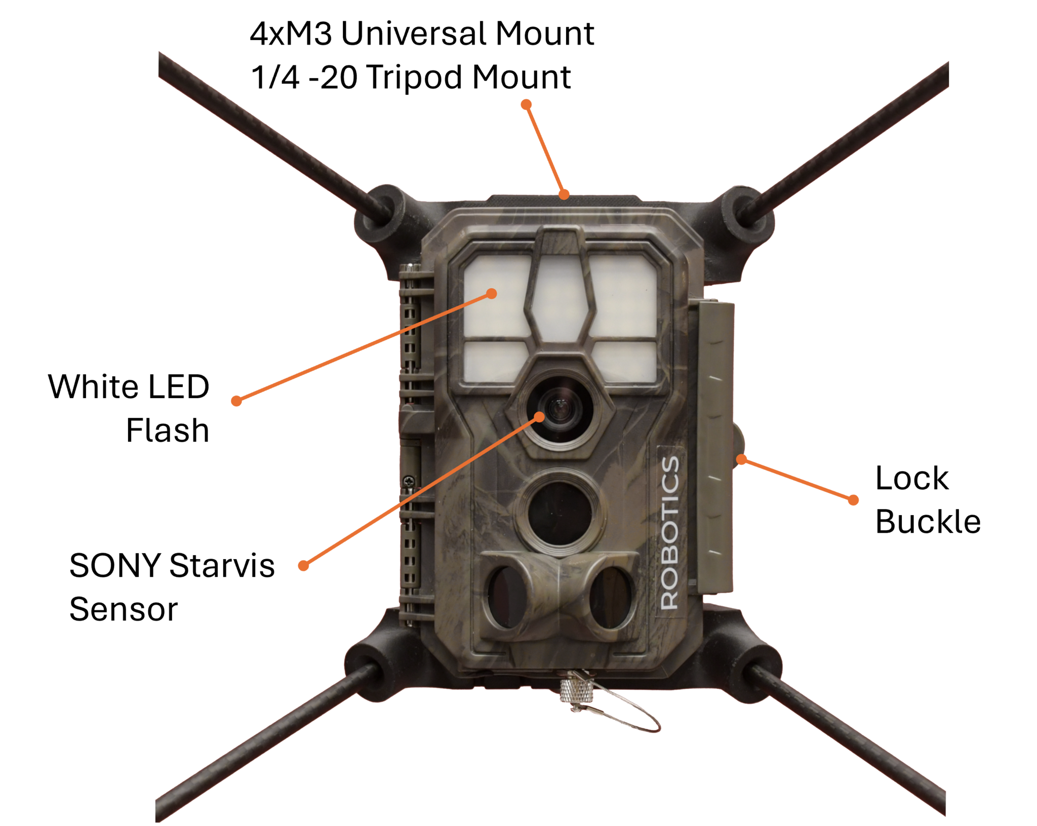 EntoCam autonomous Camera Trap for Insects & EntoBeam