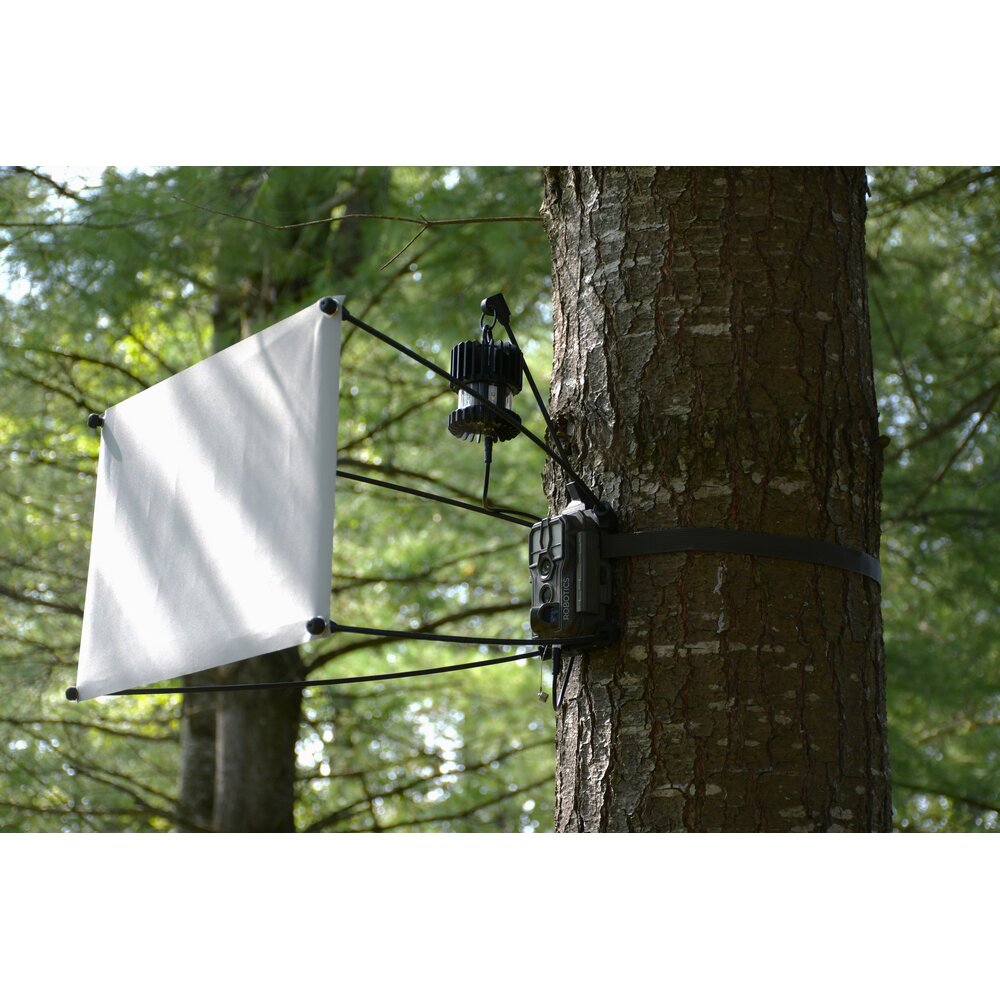 EntoCam autonome Cameraval voor Insecten - Veldshop